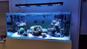 Asd Led Reef Lighting 48 300w Fixture 4 To 6 Feet Tanks Aquariumstoredepot
