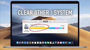 24/7 live chat support · free scan · remote assistance How To Clear System Storage On Macos High Sierra Other Space Youtube
