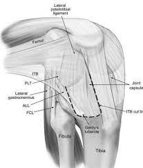 This pushes the knee inwards (toward the other knee). Lateral Collateral Ligament Injury Of The Knee Physiopedia