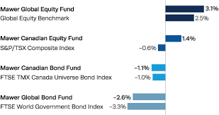 mawer investment management 3rd quarter newsletter