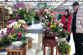 We did not find results for: Floraculture International Fci Horticultural Magazine Aiph