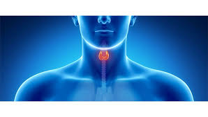 Tiroid Kanseri En Cok Lenf Bezlerine Yayiliyor Saglik Haberleri Ntv