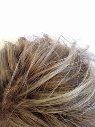 ベージュ カラーリング 少しの白髪や癖毛などで ヘアスタイル デザインを諦めたくない あなたの髪の悩みを聞き 技術提案する 大阪 堀江のマンツーマン美容室 ポリッシュ カスタムヘア 06 6532 6635 白髪染 ヘアスタイル ロング 白髪 ヘアスタイル