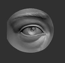 Eye Reference 3d Print Model Anatomy Sculpture Eye Anatomy Anatomy Art
