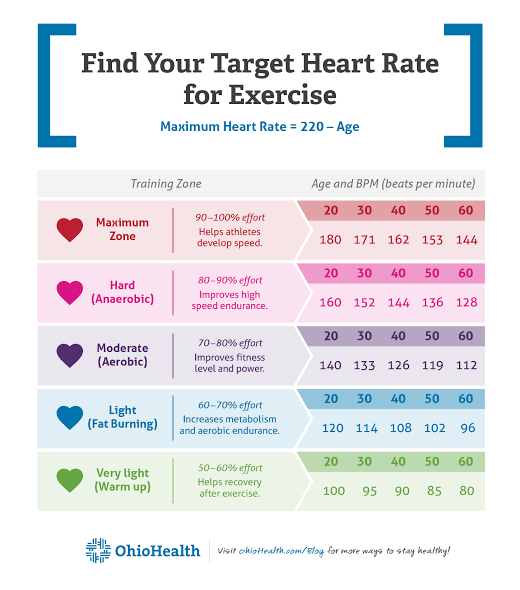 Heart rate zones for target cardio training, AI generated