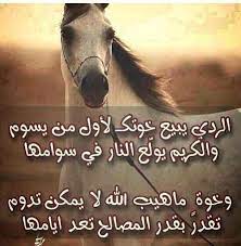 الردي يبيع خوتك funny animals animals animals bugs