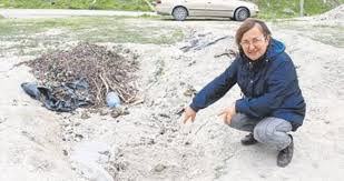 Burdur Da Hayvan Katliami Akdeniz Haberleri