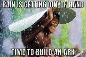 20 Rain Memes To Lift Dampened Moods In 2022 - HumorNama