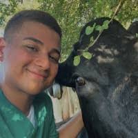 50+ "Jan Rodriguez" profiles