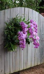 Living Wall Planter Orchid Planters Living Wall Planter Wall Planter