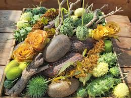 Image result for Cucumis meeusei