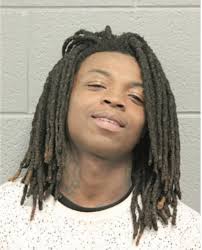 ᐅ Illinois Criminal Records 2009-2026