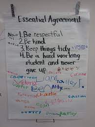Peacemaker Promise | Hooray For 1St Grade!