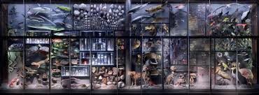 museum fur naturkunde berlin on twitter museum science museum culture art