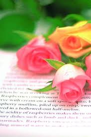 Phoneky Roses Hd خلفيات