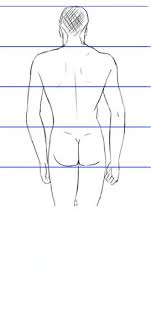 Front and back view of a human skeleton. The Male Human Body Proportions How To Get Them Right Using The Heads Count Method Sweet Drawing Blog