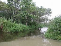 Pada periode hujan, danau tentu merendam kawasan sekelilingnya dan rawa danau merupakan kawasan rawa yang berada di kota serang, provinsi banten, rawa danau lebih terkenal. Yuk Nikmati Pesona Rawa Dano Di Banten Okezone Travel