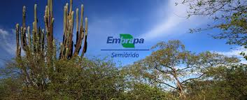 Publicações Embrapa Semiárido — Ministério do Meio Ambiente e Mudança do Clima