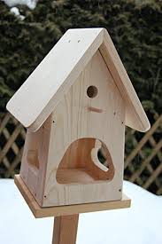 Dekorativer Nistkasten Nb2 Mit Vogelfutterhaus Zum Selbst Bauen Bausatz Vogelhaus Vogelhauschen Sauber Bird Houses Ideas Diy Bird Houses Diy Bird House Feeder