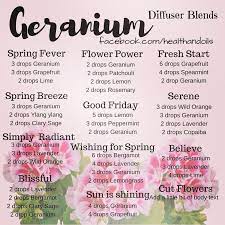 Lavender Grapefruit Helichrysum Wild Orange Rosemary Peppermint Cassia Fran Essential Oil Diffuser Recipes Petigrain Essential Oil Essential Oil Blends