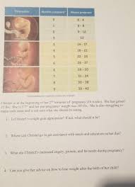 Start by counting the recurring day of. Trimester Months Pregnant Weeks Pregnant 0 4 O Chegg Com