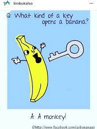 Timbuk Also Banana Joke Jokes Instagram Quotes Banana Party