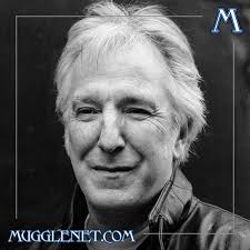 MuggleNet.com