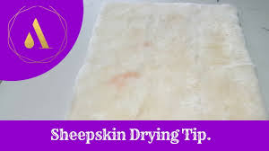 The result is a rug that's a unique work of art. Sheepskin Drying Tip For Professional Rug Cleaners Youtube