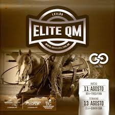 LEILÃO ELITE QM - GO Leilões