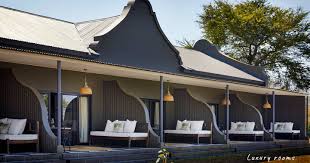 Image result for Grangea zambesiaca