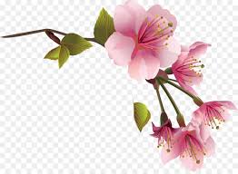 Watercolor Pink Flowers Fondo de marco floral con flores de magnolia. subpng