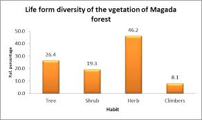 Image result for Monothecium glandulosum