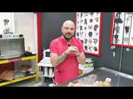 Kedilerde Kizginlik Donemi Nasil Atlatilir Youtube