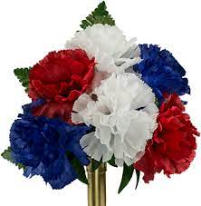 Red white and blue flowers png. Ni2195 Red White Blue Carnation Red White And Blue Flowers Png Full Size Png Download Seekpng