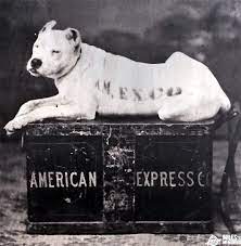 The starwood preferred guest® business credit card from american express offers a solid welcome offer, rewards every time you use your card, and even generous redemption bonuses. American Express Spg Business Credit Card Review