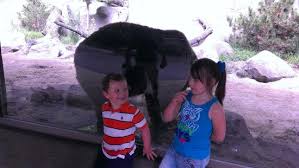 This exercise consists of a text about camels in which there are 8 gaps. Camel Rides Picture Of John Ball Zoo Grand Rapids Tripadvisor