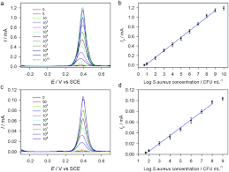 Three Dimensional Macroporous Gold Electrodes Superior To Conventional Gold Disk Electrodes In The Construction Of An Electrochemical Immunobiosensor Analyst Rsc Publishing Doi 10 1039 C9an02392e