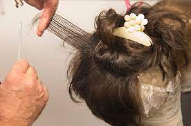 We did not find results for: 22 Ideas Long Lasting Hairstyle Crossword Clue In 2020 Classic Hairstyles Latest Haircuts Trending Haircuts