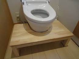ƒgƒcƒœ i y a i i e u toilet diy design