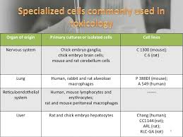 Testing of toxicity of environmental pollutants in cell culture; In Vitro Testing Of Drug Toxicity