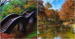 誰說一定要出國才能欣賞到如詩如畫的浪漫楓情 台灣各地有豐富迷人的紅葉 落羽松景點等著你去發掘 親子帶著愉悅的心情 到這18個賞楓地來趟野餐散步小旅行吧 outdoor structures outdoor garden bridge