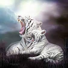 Spirit Of The Wild Series Wild Generations Tigers Roar Tiger Roaring Wild Animal Sanctuary Colorado Big Cats Art