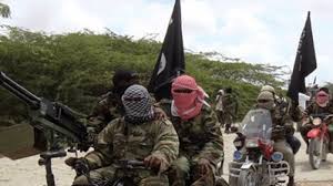 I'm from bangladesh, is boxing or mma, mixed martial arts fighting income halal in islam. Boko Haram Terrorists Kill 10 People In Borno Daily Post Nigeria