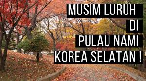 Biasanya pakej percutian korea selatan dengan kos ini adalah standard, berbaloi dan berpatutan. Travel Ke Korea Musim Luruh Di Pulau Nami Korea Selatan Youtube