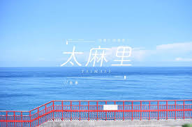 台灣小鎮漫遊 台東 太麻里鄉 金針花浪與蔚藍海岸交織