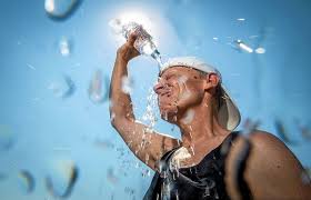 From french canicule (the dog star; Canicule Dans Le Sud Du Quebec Jusqu A 40 Degres Ressentis Le Fil Des Regions Actualites Le Soleil Quebec