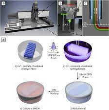 3d Bioprinting Set Up A Custom Built 3d Printer Equipped With Fully Download Scientific Diagram