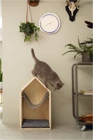 Katzen Kratzbaum Aus Holz Mit Katzenbett Katzenhoehle Katzenbaum Kletterbaum 69cm Pet Furniture Cat Furniture Cat Bed