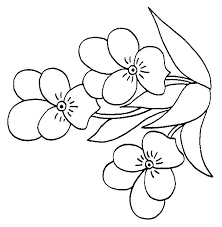 Desene de colorat cu flori. Planse De Colorat Flori Panselute De Colorat P09 Desene De Colorat Flori Panselute De Colorat P09