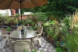 We have pretty much retired from podcasting so go ahead and gorge on the old ones on our site or on itunes. How I Once Turned An Illegal Brooklyn Roof Deck Into My Garden Oasis